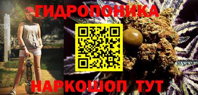 эйфоретик Славгород