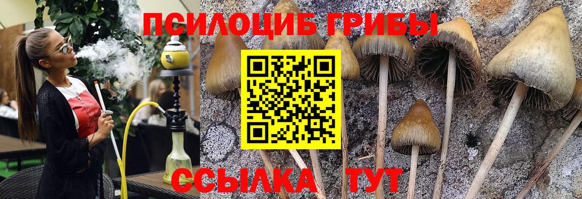 Галлюциногенные грибы Cubensis  Псилоцибиновые грибы GOLDEN TEACHER  Вход с VPN  Орехово-Зуево 